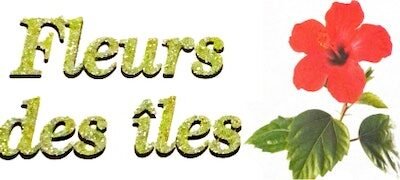 Fleuriste près d'Évry | Bouquets et compositions | FLEURS DES ÎLES