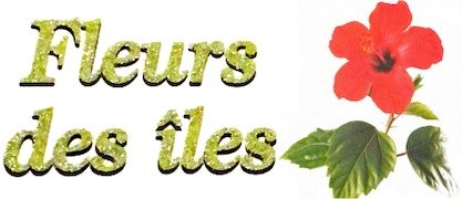 Fleuriste près d'Évry | Bouquets et compositions | FLEURS DES ÎLES